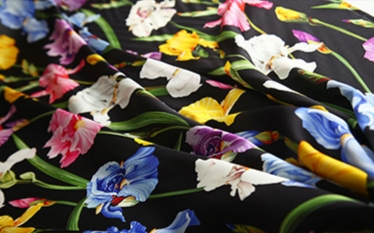 Dolce Gabbana Iris Print