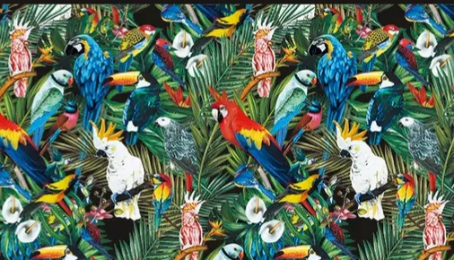Dolce Gabbana Parrot Print Silk