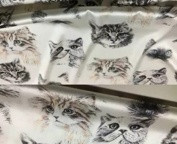 Dior Designer cat design silk