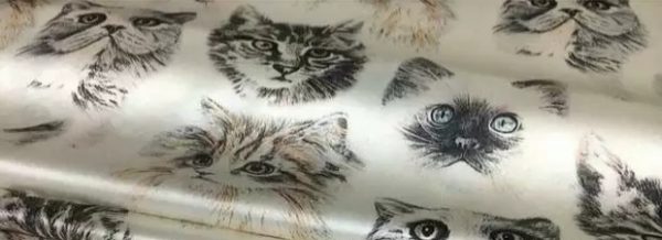 Dior Designer cat design silk
