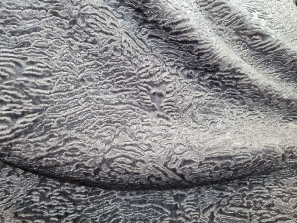 Designer velvet embossed pattern fabric
