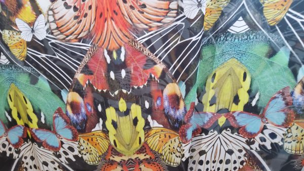 Roberto Cavalli Silk chiffon with butterflies
